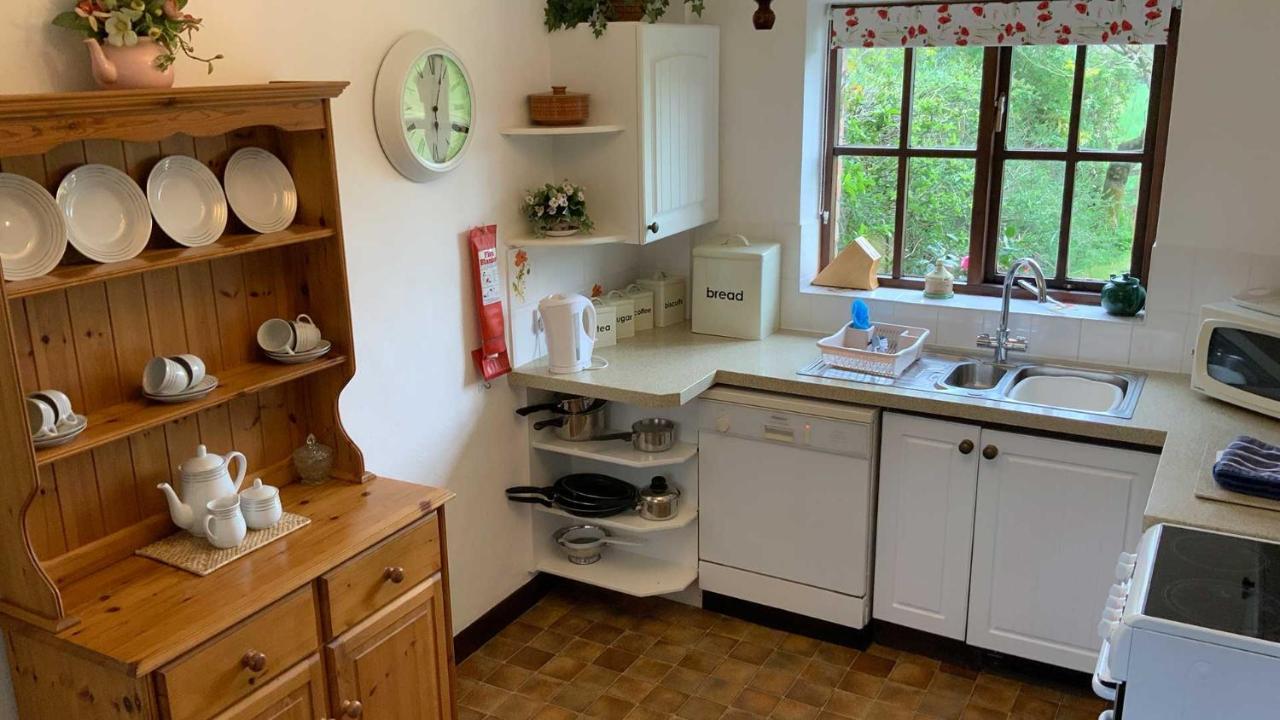 Shippen Cottage - Perfect For Couples Or Families Sidmouth Zewnętrze zdjęcie